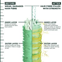 HairFiller VitaminC Technology EN 1000x1000