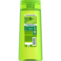 GAR 3D PKG Fructis Reno 2022 ColorShield Shampoo 650ml Back V1