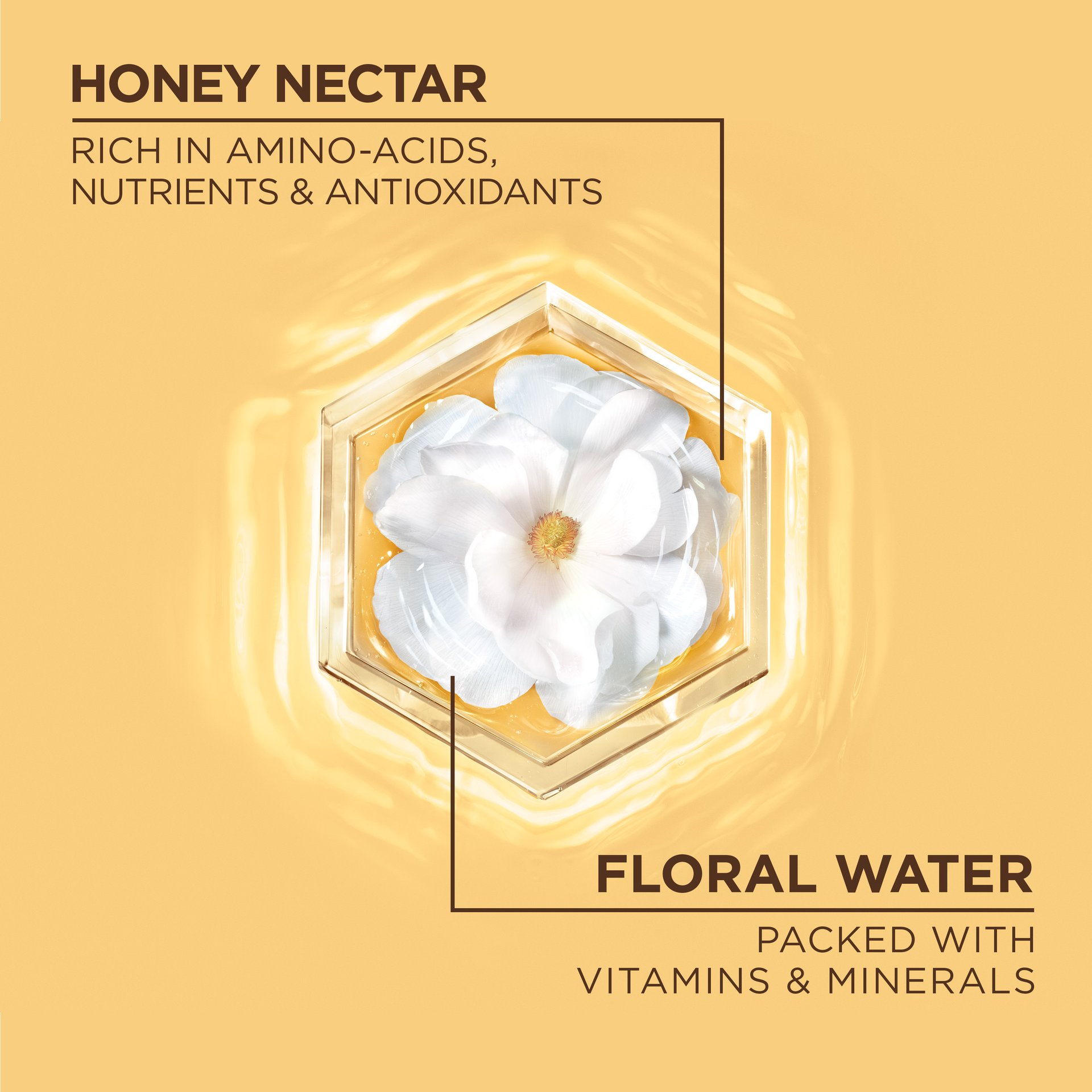 Garnier WB Honey Water Ingredients EN