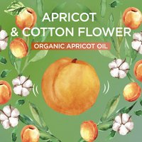 WFP 1122051 GAR W25 WholeBlend Kids Abricot Avoine 2000x2000 APRICOT ORGANIC EN