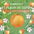WFP 1122051 GAR W25 WholeBlend Kids Abricot Avoine 2000x2000 APRICOT ORGANIC FR