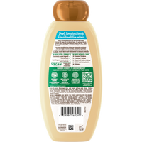 GAR 3D PKG WB ALMOND ARGAN SHAMP BACK 650ML 603084561339