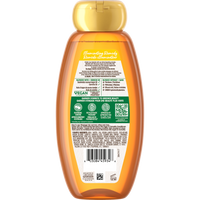 GAR 3D PKG WB MOROC ARG CAM OILS SHAMP BACK 650ML 603084459346