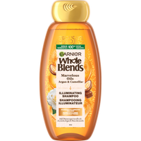 GAR 3D PKG WB MOROC ARG CAM OILS SHAMP FRONT 650ML 603084459346