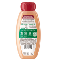 GAR 3D PKG WB CASTOR OIL SHAMP BACK 650 ML 603084549542 2