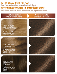 Belle Color Shade 403 000770103463483 before after