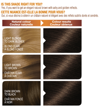 Belle Color Shade 43 00603084561230 before after