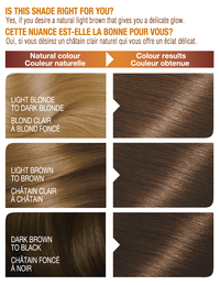 Belle Color Shade 50 00070103160048 before after