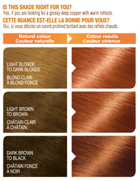 Belle Color Shade 54 00603084575763 before after