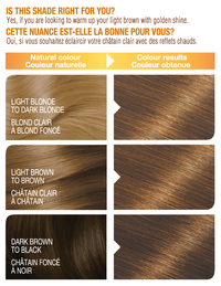 Belle Color Shade 63 00070103160246 before after