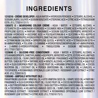 WFP 955867 GAR W24 Nutrisse PL3Bleach ATF INGREDIENTS EN