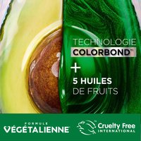 WFP 755029 GAR W24 Nutrisse Ultra Color ATF Formula FR