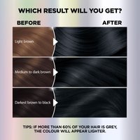 WFP 755029 ULTRA COLOR 117 RESULTS EN