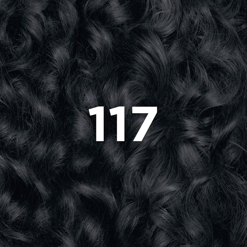 wfp 755029 ultra color 117 swatch en