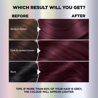 WFP 755029 ULTRA COLOR 326 RESULTS EN