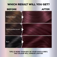 WFP 755029 ULTRA COLOR 362 RESULTS EN