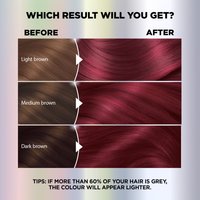 WFP 755029 ULTRA COLOR 460 RESULTS EN