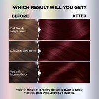 WFP 755029 ULTRA COLOR 462 RESULTS EN