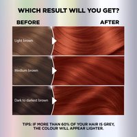 WFP 755029 ULTRA COLOR 564 RESULTS EN