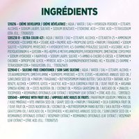 WFP 755029 ULTRA COLOR 421 INGREDIENTS FR