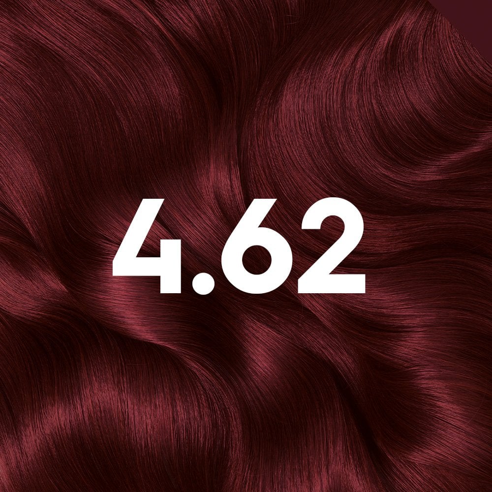 Permanent Hair Dye - 4.62 Dark Garnet Red - Garnier Olia