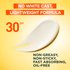 WFP 1057555 GAR W24 VitaminC UV BrighteningCream FORMULA EN