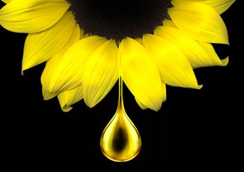 8 1 0 0 07a content block