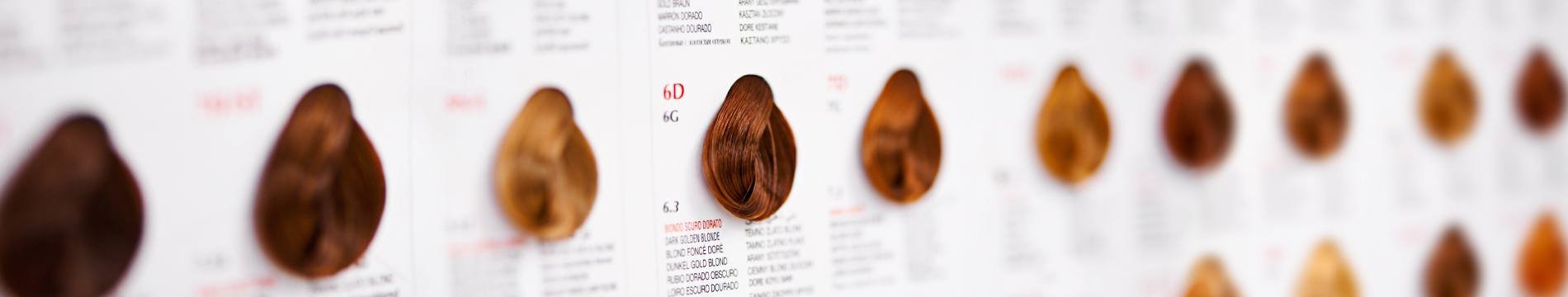 Hair Color 101: 5 Tips to Choose the Best Hair Color for you Hair Color 101: 5 Tips to Choose the Best Hair Color for you