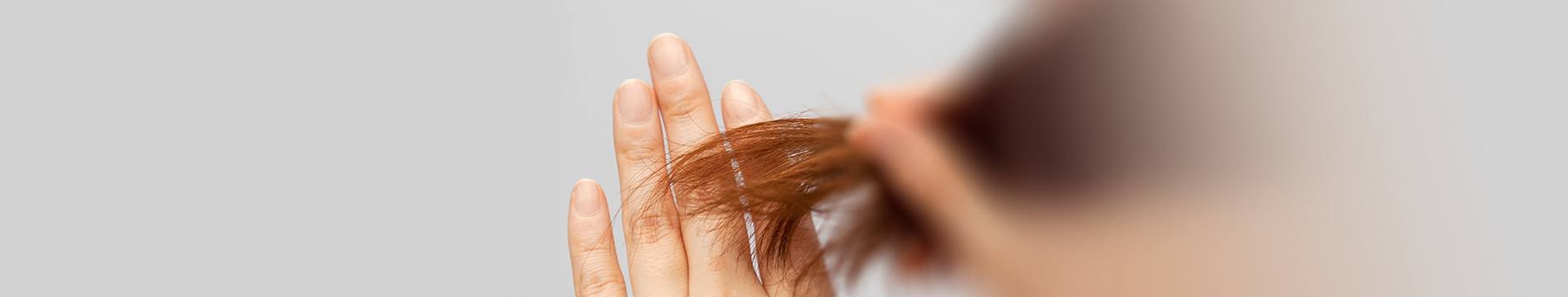 Olia  6 raisons sans ammoniaque   Banner