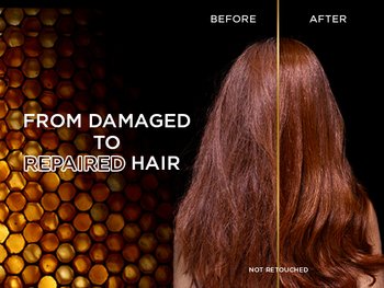 PS37564 GAR WholeBlendsHTRen Images 600x450 01