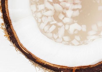 3_6_02a_coconutimage_v1