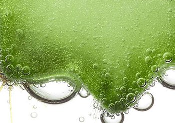 3_7_03a_strengthenhydration_v1