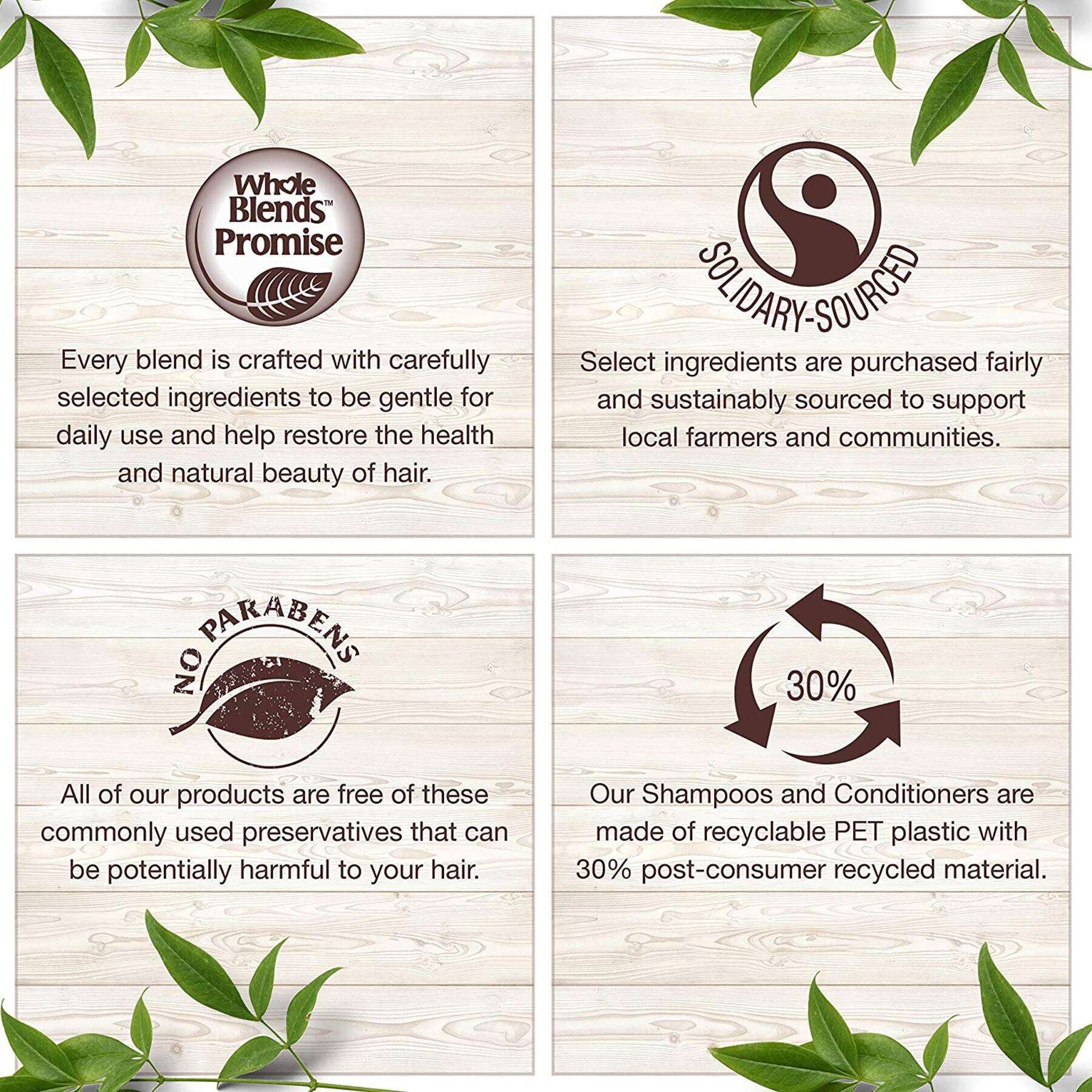 garnier shampoo whole blends 0603084459384 extra3