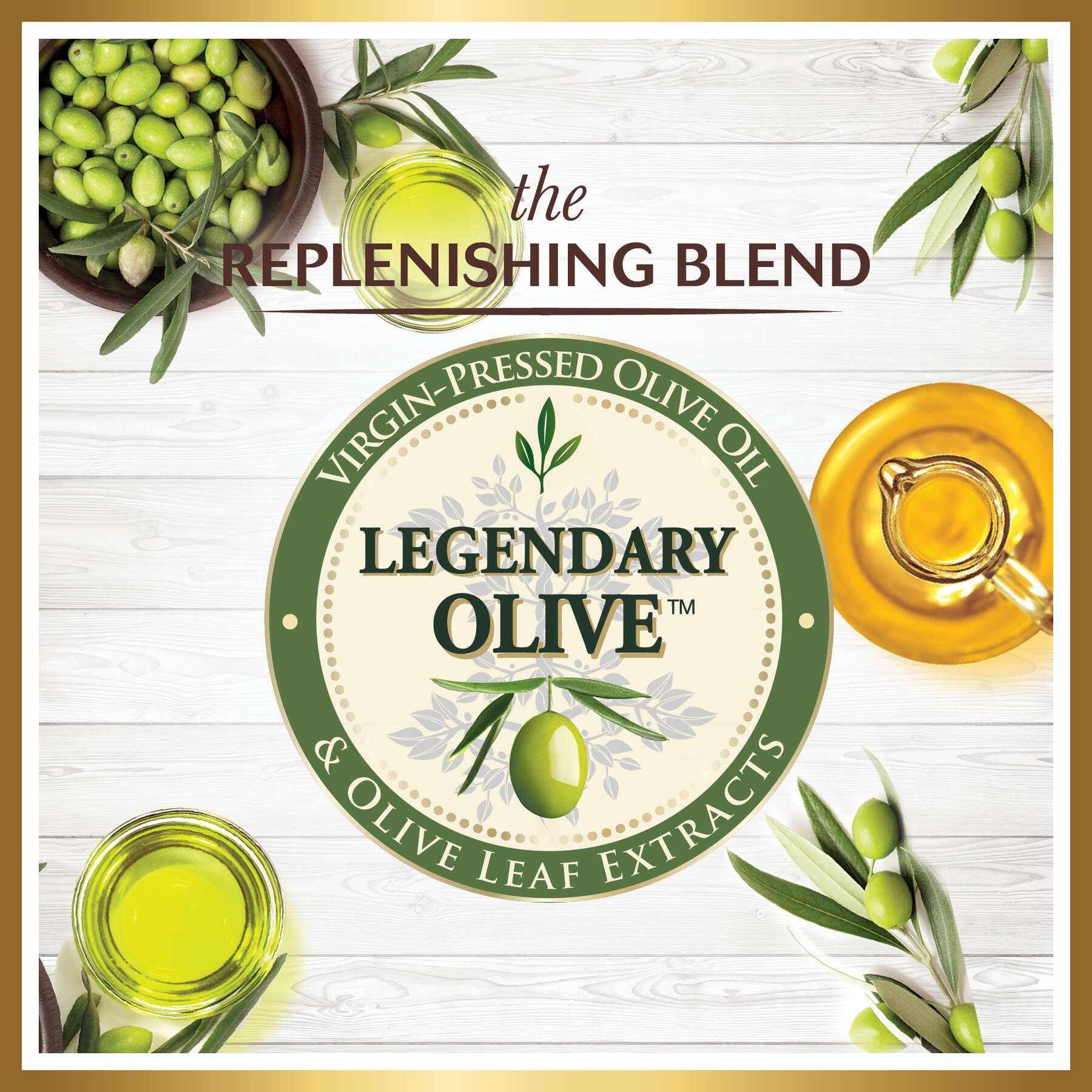 garnier shampoo whole blends legendary olive shampoo siliconefree 370 ml 603084494545 ingredient