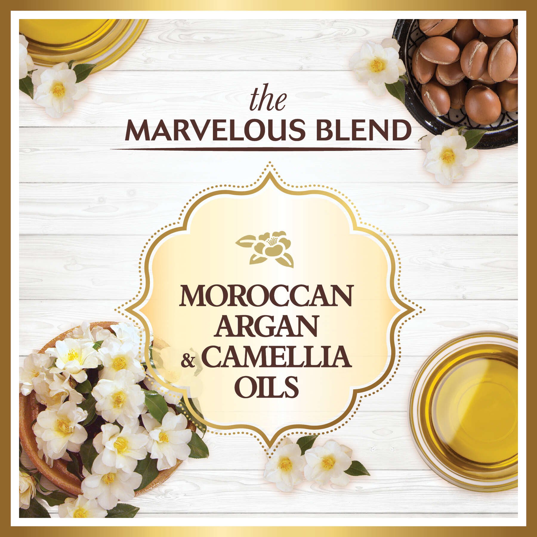 garniershampoowholeblendsmoroccanargancamelliaoilsmarvelousshampoo370ml603084459339ingredient