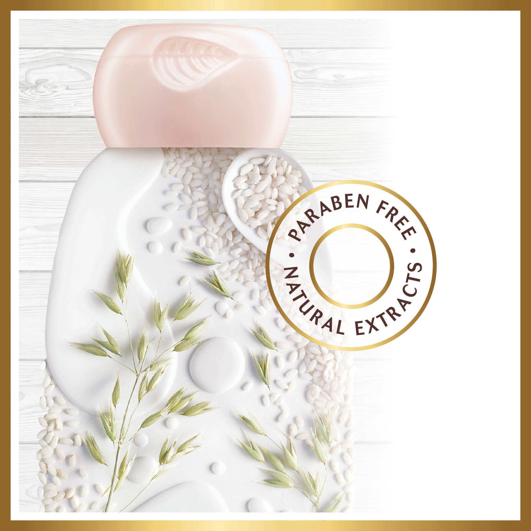 garnier hair conditioner whole blends oat delicacy gentle conditioner 370 ml 603084543359 extra