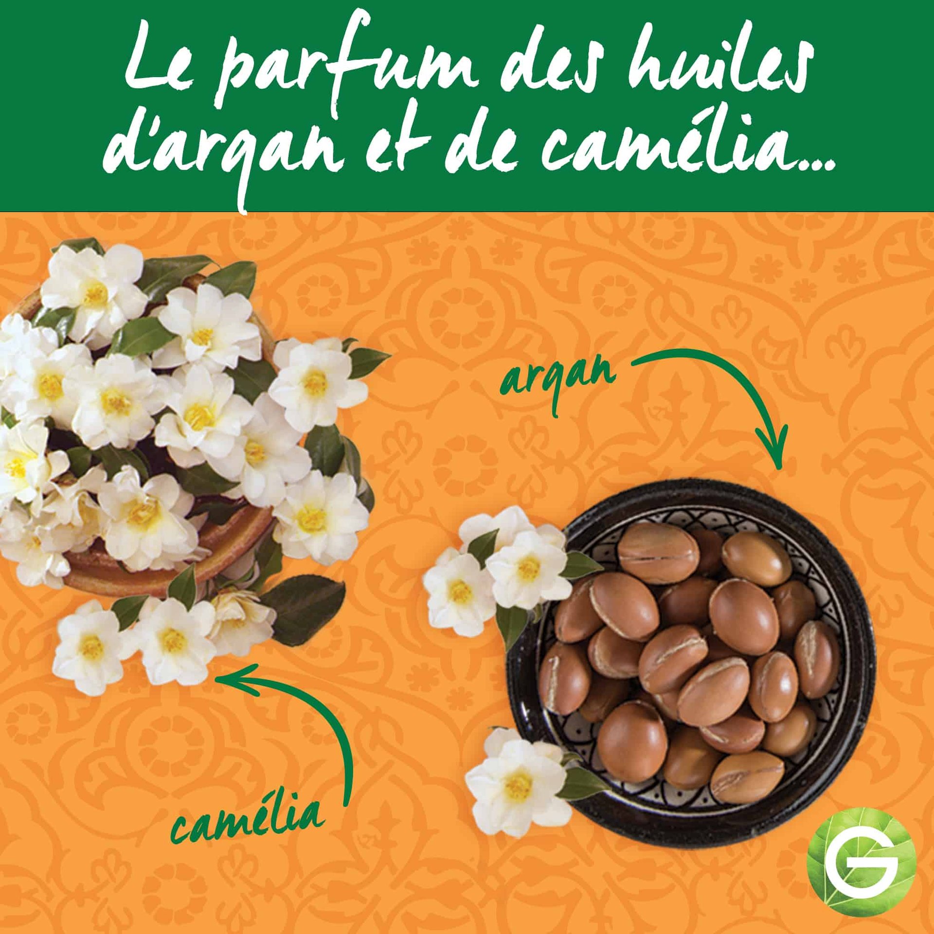 ARGAN CAMELLIA ENHANCED IMAGE 4 FR