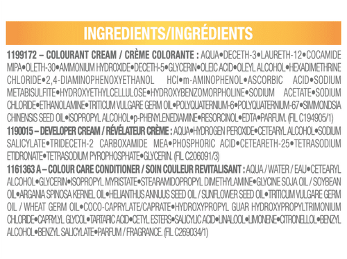 Permanent Hair Dye - 81 Ash Blonde - Garnier Belle Color