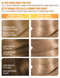 Belle Color Shade 8N  00603084494835 before after