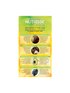 garnier hair dye nutrisse cream 101 very light ash blonde 0603084494927 t2