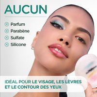 WFP 1055951 GAR W24 Micellaire Purifying SalicylicAcid INGREDIENT FR