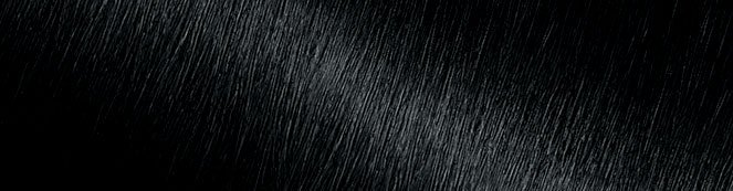 11 Ash Black | Garnier Nutrisse Cream 11 Ash Black | Garnier Nutrisse Cream