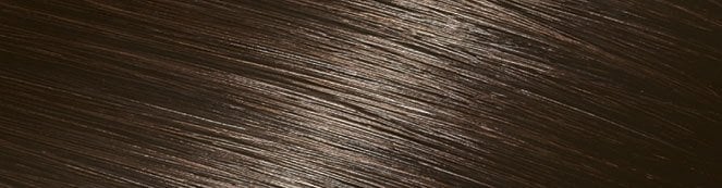 403 Dark Mocha Brown Garnier Belle Color
