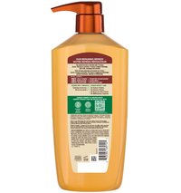 GAR 3D PKG WB HoneyTreasure LBL Shampoo Back 1 18L CAD