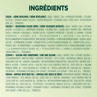 WFP 755029 ULTRA CREME 500 INGREDIENTS FR