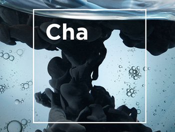 DMI CharcoalLP 02 ContentBlock stills intl mar2023png